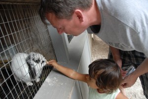 The Farm bunny feeding