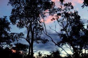 lusaka sunset 3.8.2014